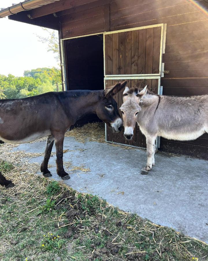 La Ferme Saint Pierre De Glabais Villa Genappe Ngoại thất bức ảnh